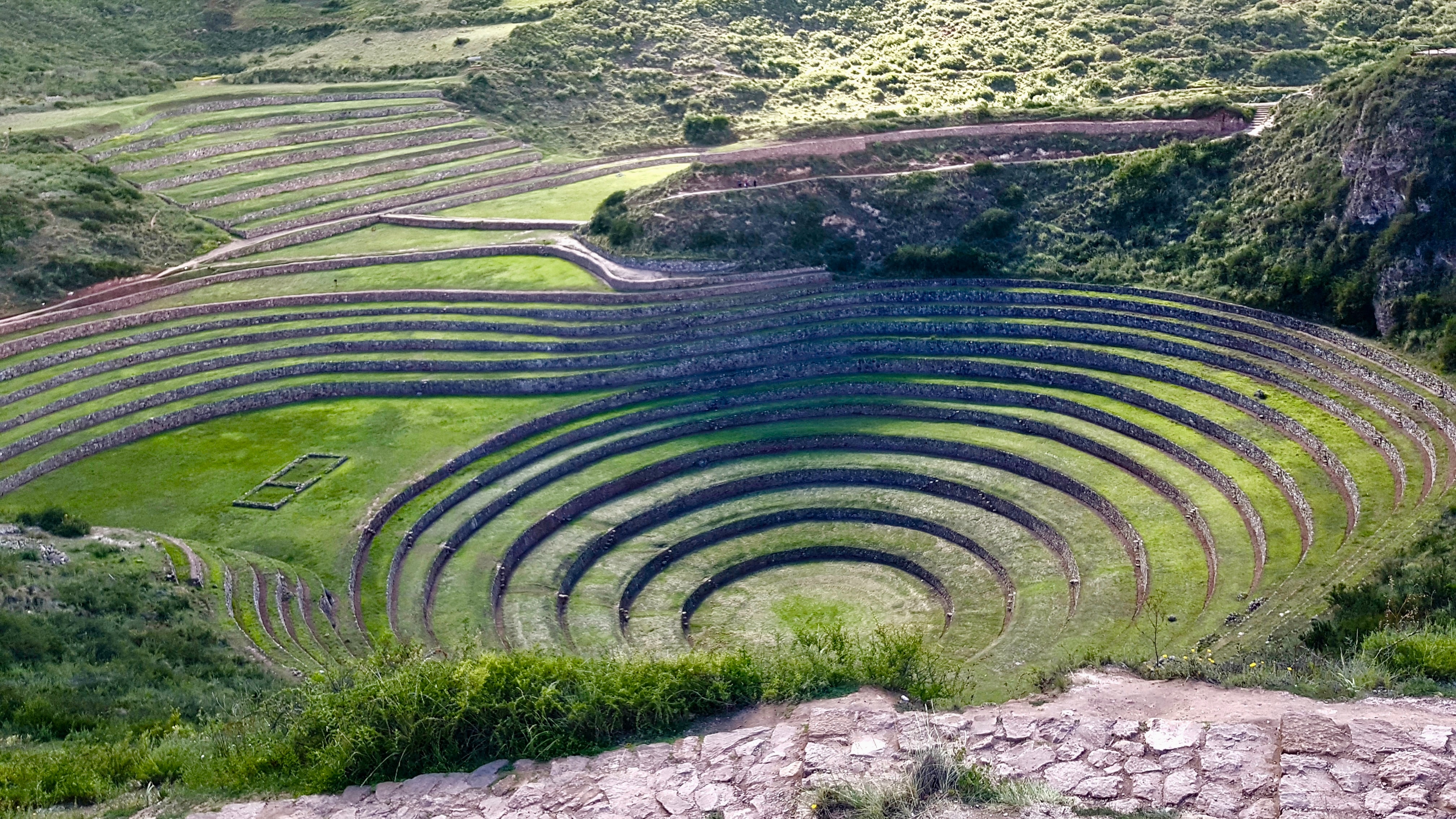 Cuzco