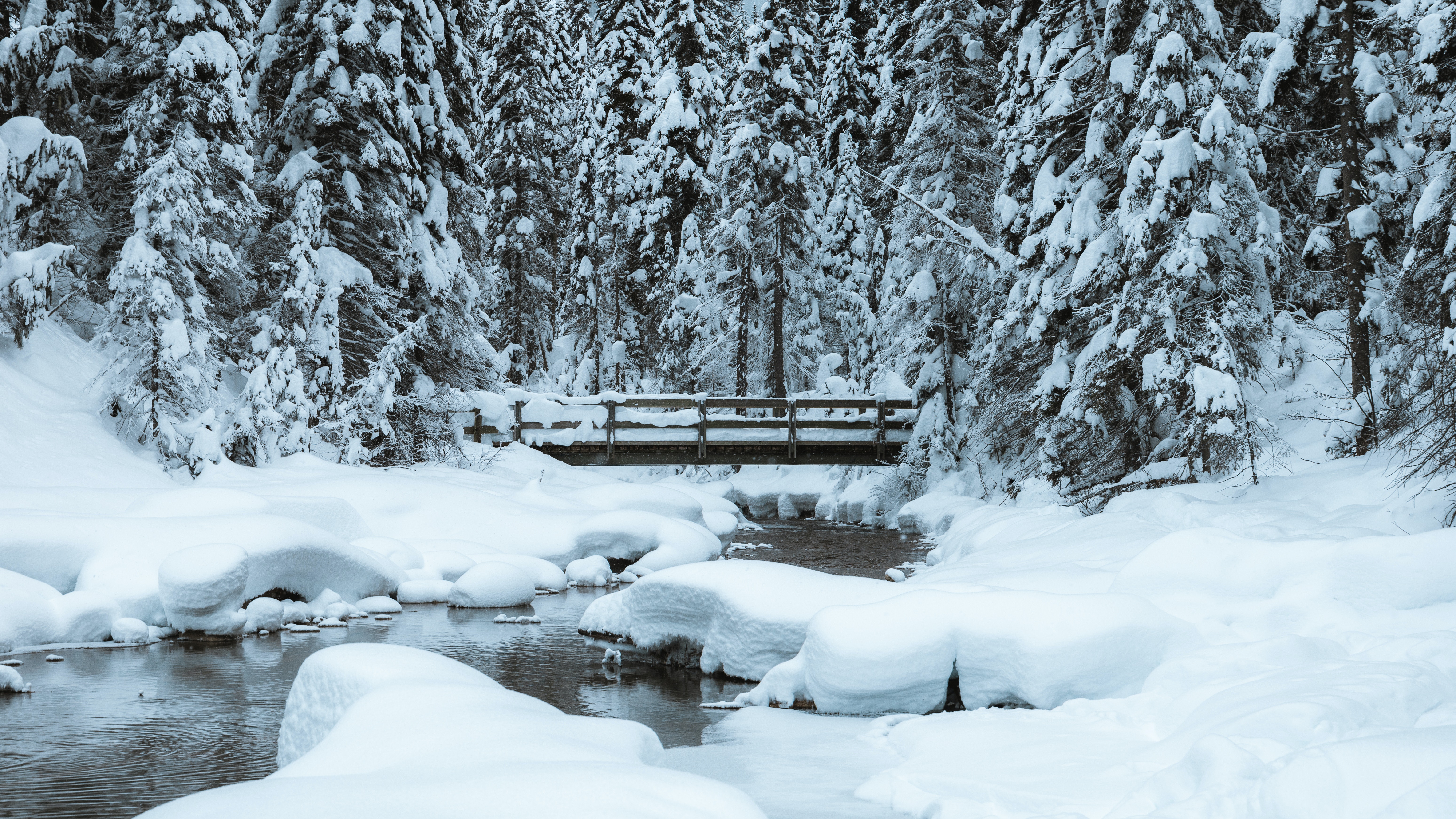 Snowy Landscapes in Banff