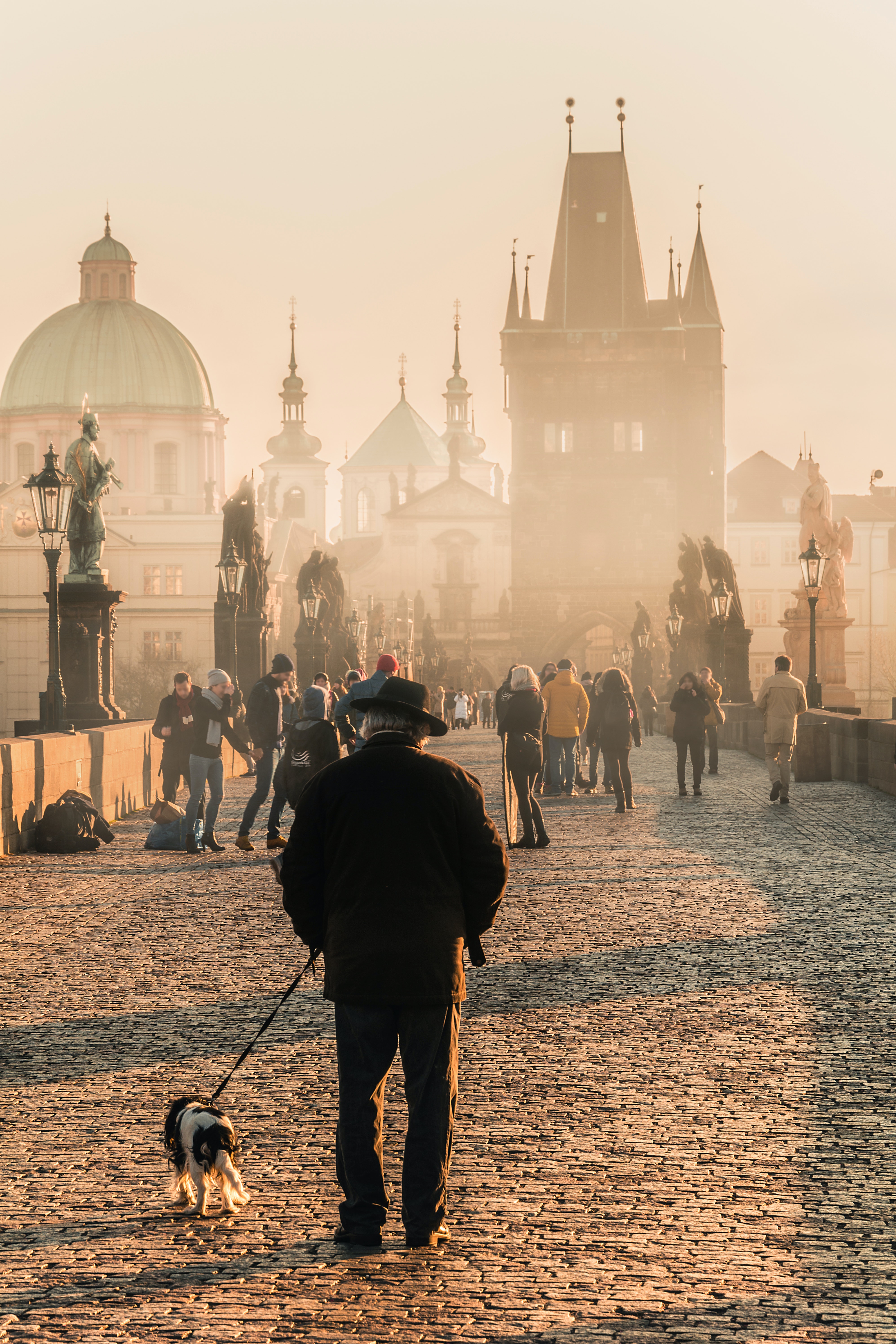 Charles Bridge